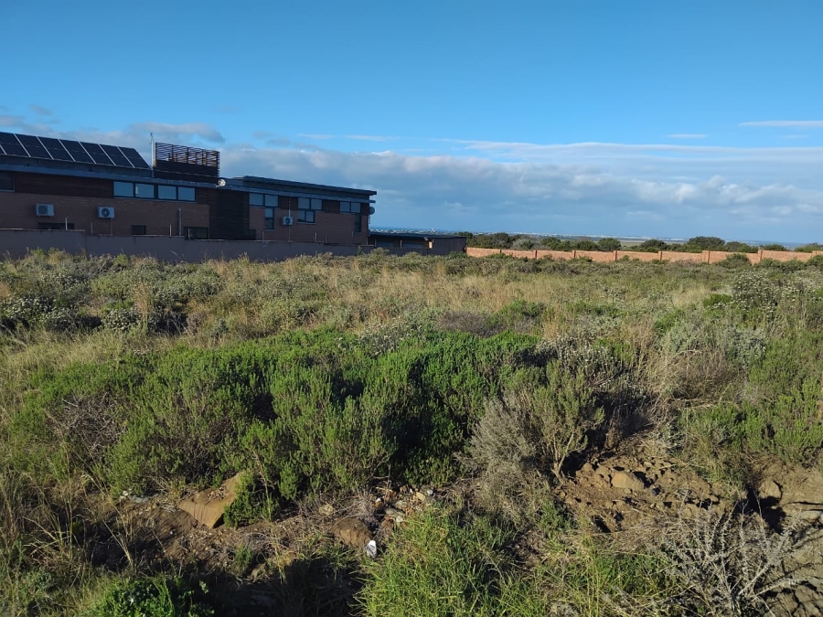 0 Bedroom Property for Sale in Fountains Estate Eastern Cape